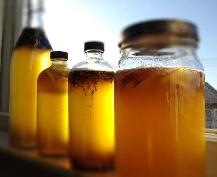 Un processus de fermentation à base de thé dans des bocaux en verre